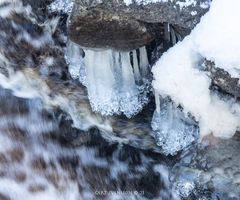 16012021-16012021-329A6420 ©21-01-034+SNÖ++18 IS 004-020