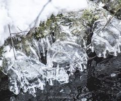 17012021-17012021-329A6584 ©21-01-034+SNÖ++18 IS 006-020