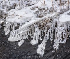 18012021-18012021-329A6685 ©21-01-034+SNÖ++18 IS 015-020